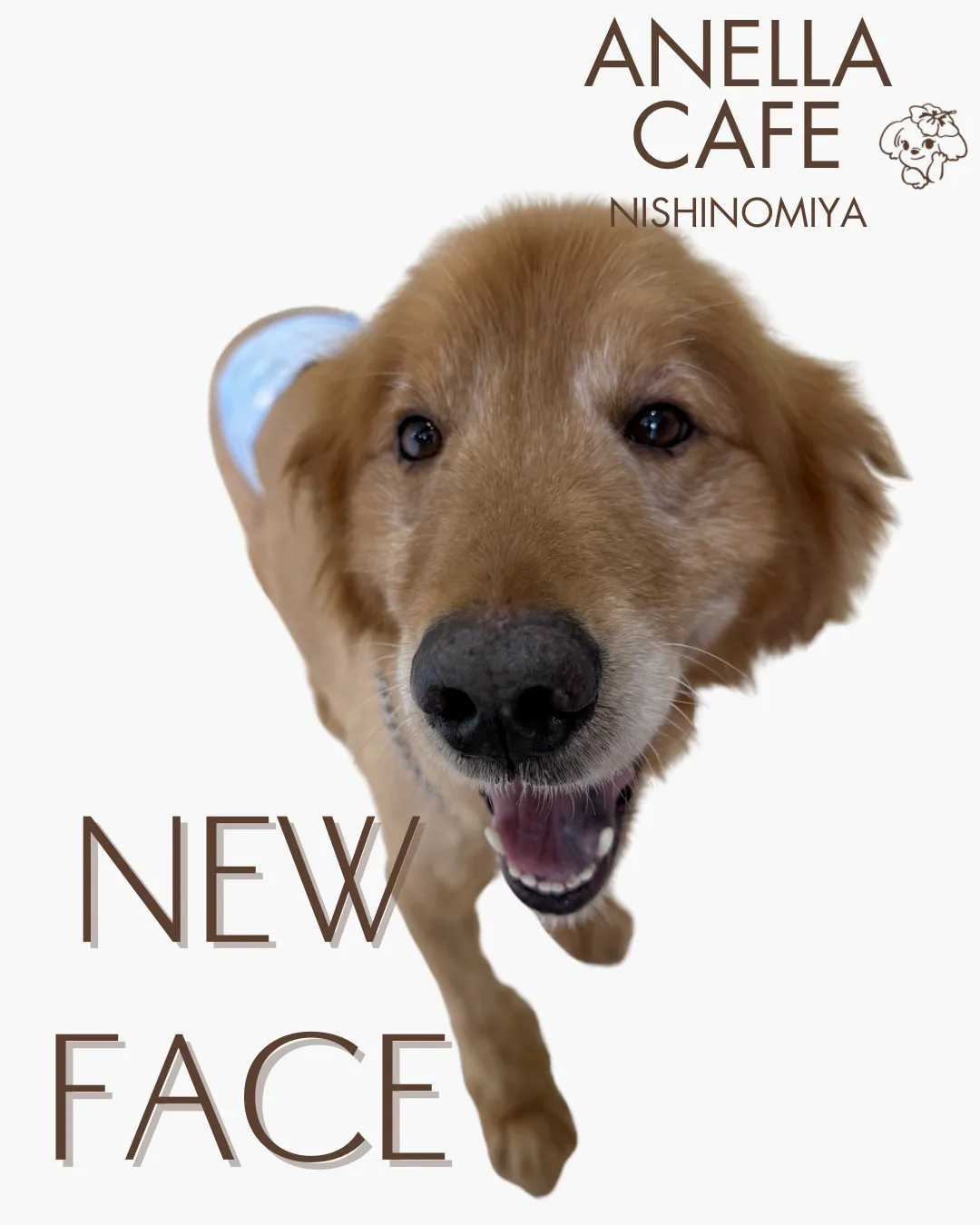 NEW FACE!!
