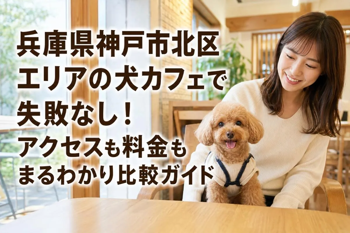 兵庫県神戸市北区エリアの犬カフェで失敗なし!アクセスも料金もまるわかり比較ガイド