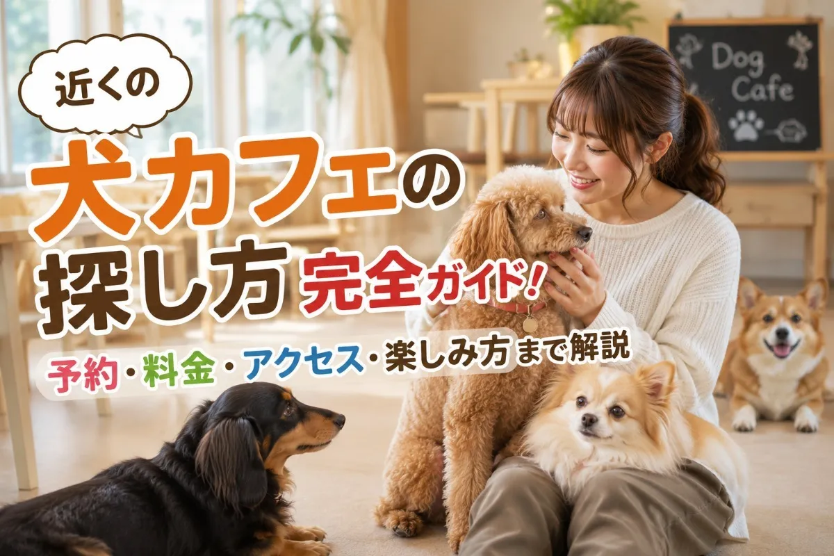 近くの犬カフェの探し方完全ガイド!予約・料金・アクセス・楽しみ方まで解説